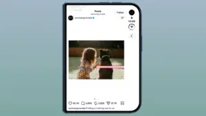 iPhone Duo display
